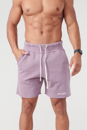 Men's YoungLA 110 San Diego Terry Shorts Purple | 648-JIOGAX