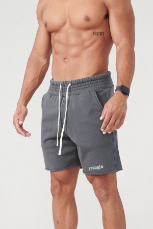 Men's YoungLA 110 San Diego Terry Shorts Grey | 826-YLDEPZ