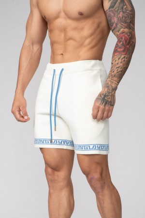 Men's YoungLA 116 Hieroglyphic Knitted Shorts White | 324-BJMPFU