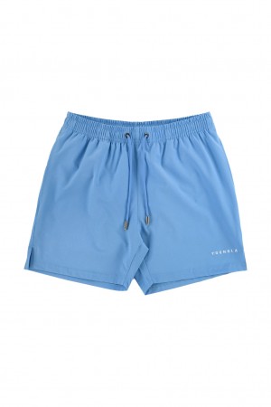 Men's YoungLA 140 Frooty Swim Shorts Blue | 460-RMZONQ