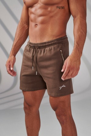 Men's YoungLA 149 Phantom Shorts Brown | 346-KSXFQE