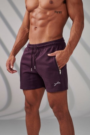 Men's YoungLA 149 Phantom Shorts Purple | 932-TLMWQF