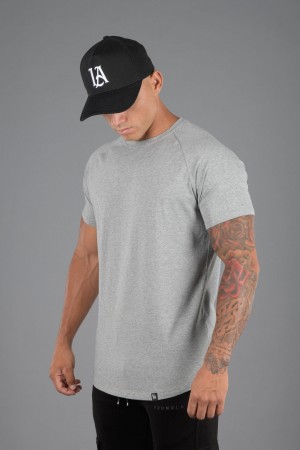 Men's YoungLA 442 Ultimate Hybrid Tee T Shirts Grey | 618-VMXCNP