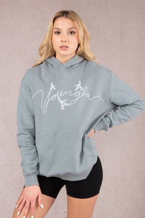 Women's YoungLA W509 Hummingbird Oversized Hoodie Blue | 625-FHOSET