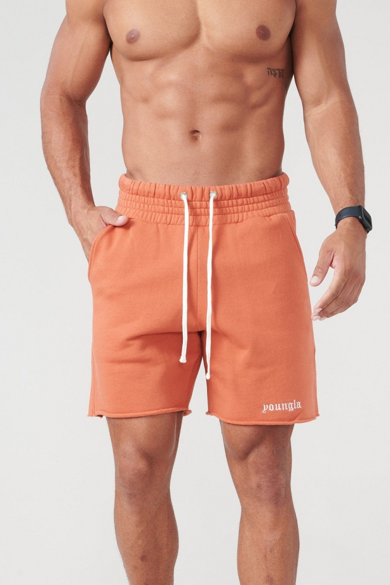 Men\'s YoungLA 110 San Diego Terry Shorts Orange | 768-RGHEOY