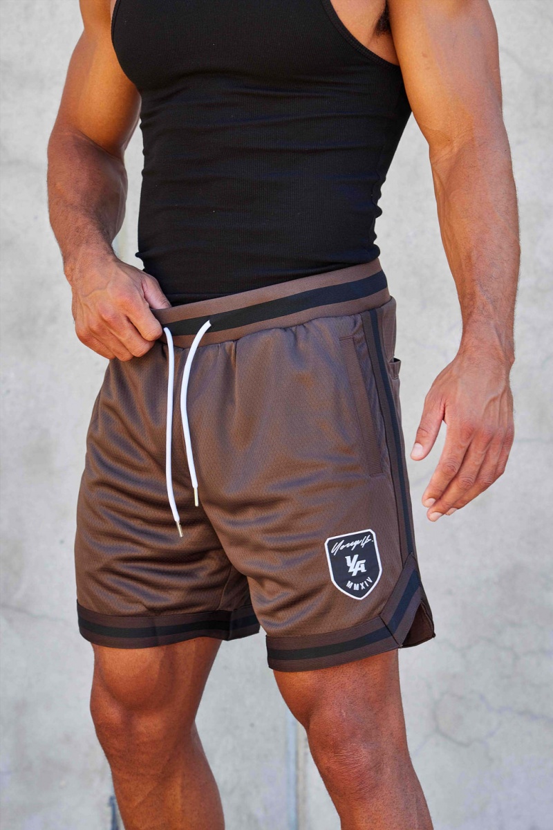 Men\'s YoungLA 133 Home Plate Shorts Brown | 543-LIRKDH