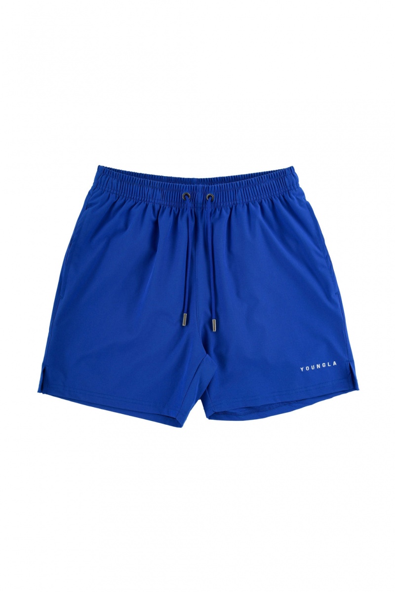 Men\'s YoungLA 140 Frooty Swim Shorts Navy | 103-MXJDQE