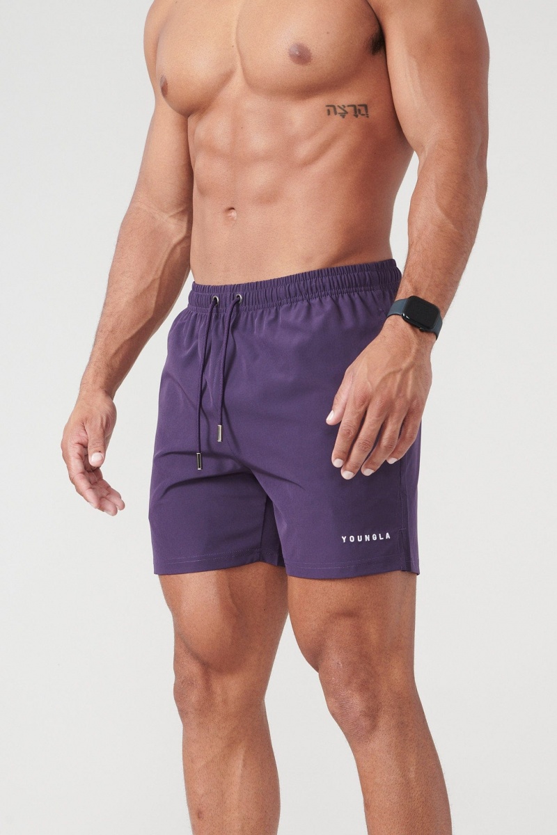 Men\'s YoungLA 140 Night Swim Shorts Purple | 396-CWQVUP