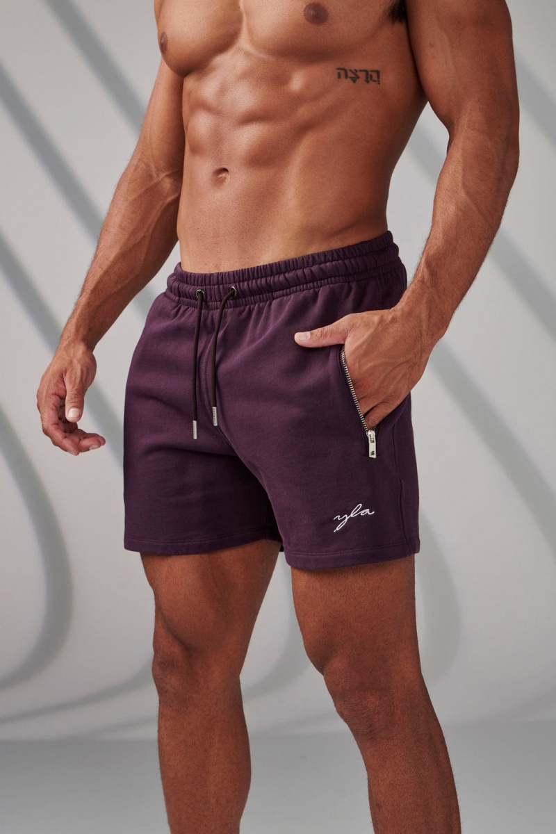 Men\'s YoungLA 149 Phantom Shorts Purple | 932-TLMWQF